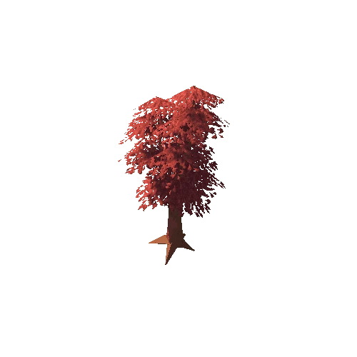 Oak Tree Red Big 01